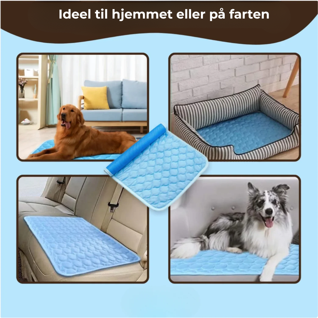 CoolMatte - Giv dit kæledyr en dejlig sommer!