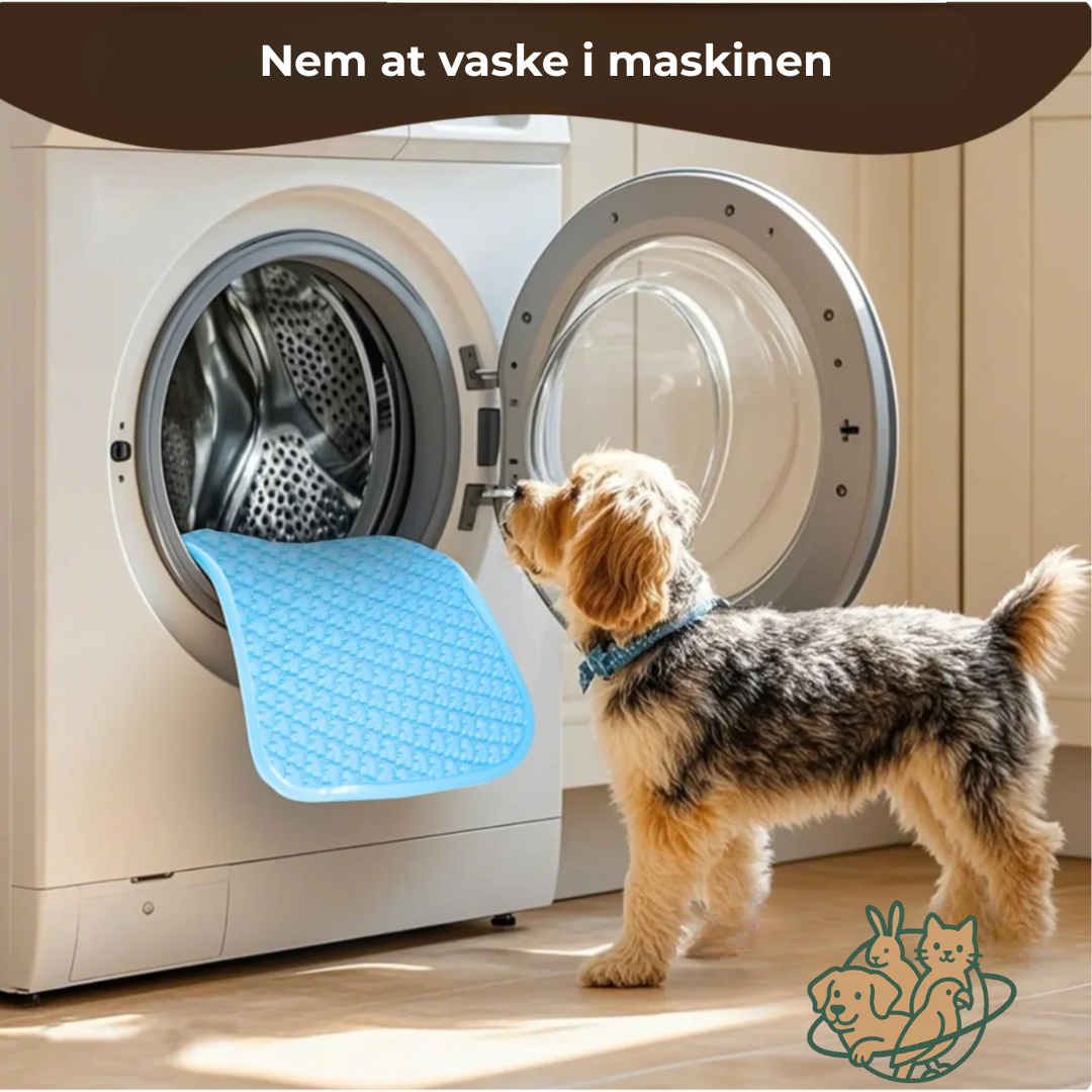 CoolMatte - Giv dit kæledyr en dejlig sommer!
